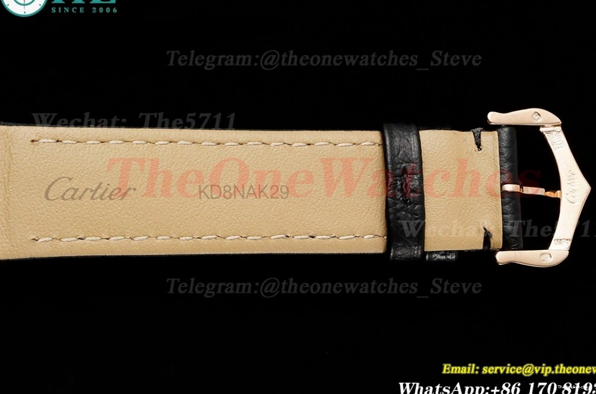 Santos RG Dumont LE Quartz AF Blk Dia Dial Silver 0228